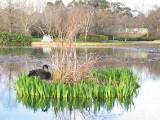 IMG_0051.JPG