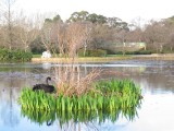 IMG_0052.JPG