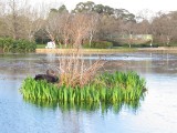IMG_0054.JPG