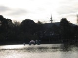 IMG_0055.JPG