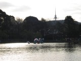 IMG_0056.JPG