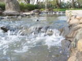 IMG_0057.JPG