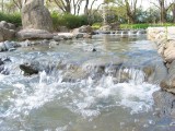 IMG_0058.JPG