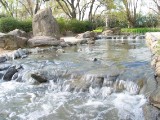 IMG_0059.JPG