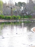 IMG_0062.JPG