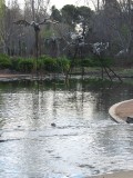 IMG_0063.JPG