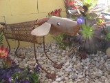 IMG_0085.JPG