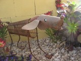 IMG_0086.JPG