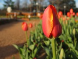 IMG_0101.JPG
