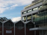 IMG_0117.JPG