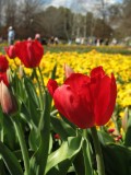 IMG_0140.JPG