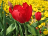 IMG_0142.JPG
