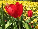 IMG_0143.JPG