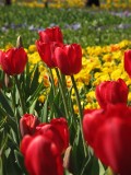 IMG_0146.JPG