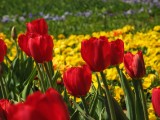 IMG_0147.JPG