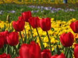 IMG_0149.JPG