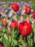 IMG_0152.JPG