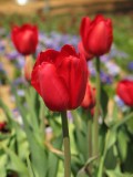 IMG_0153.JPG