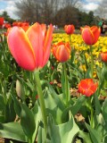 IMG_0155.JPG