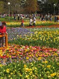 IMG_0159.JPG