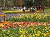 IMG_0160.JPG