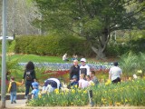 IMG_0165.JPG