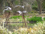 IMG_0201.JPG