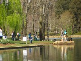 IMG_0210.JPG