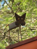 IMG_0214.JPG
