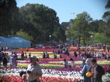 IMG_0275.jpg