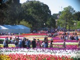IMG_0276.jpg
