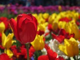 IMG_0278.jpg
