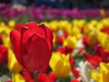 IMG_0279.jpg