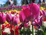 IMG_0280.jpg