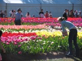 IMG_0286.jpg