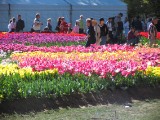 IMG_0287.jpg