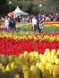 IMG_0288.jpg