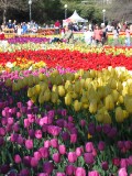 IMG_0289.jpg