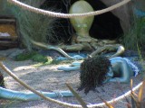 IMG_0294.jpg
