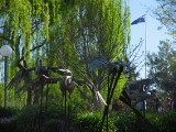 IMG_0310.jpg