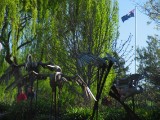 IMG_0311.jpg