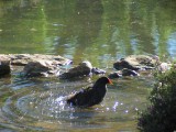 IMG_0317.jpg