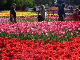 IMG_0323.jpg