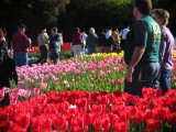 IMG_0328.jpg