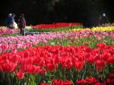IMG_0330.jpg