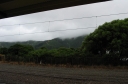 A gray day in Lower Hutt. Shot taken from Woburn railway station.