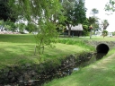 Another shot in Civic Gardens, Lower Hutt.