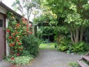 My parents' back yard.