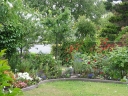 Another perspective of the front garden. In the background on the left is the letter box.