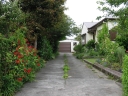 Looking down the driveway from the front entrance.